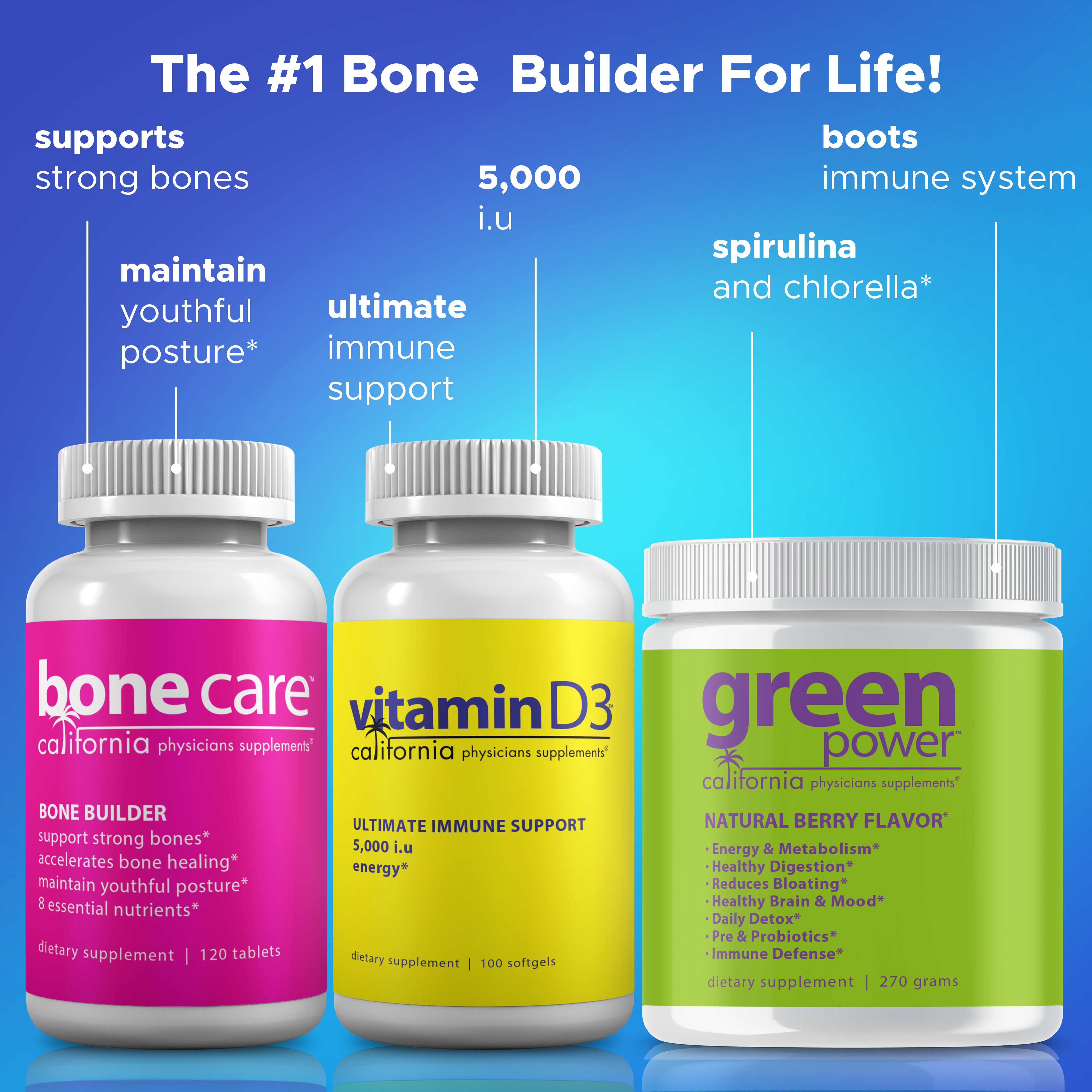 Bone Build Program