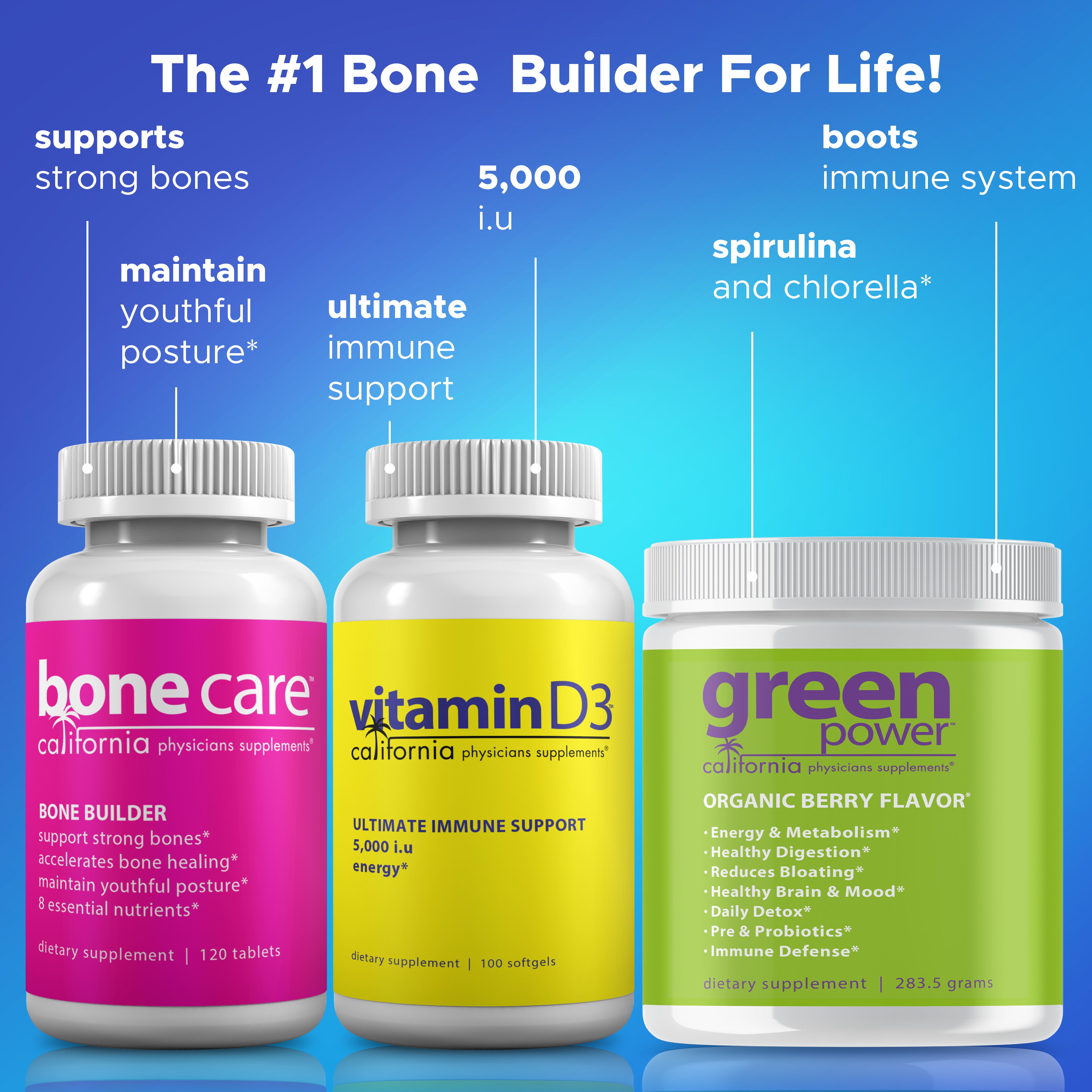 Bone Build Program